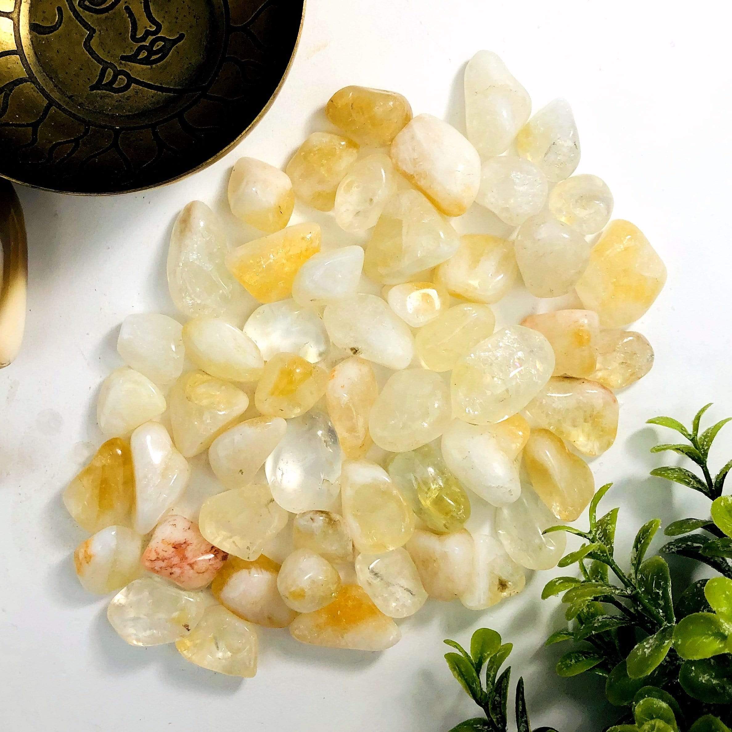 1lb Citrine Tumbled Gemstones - Medium Size (TS-13)