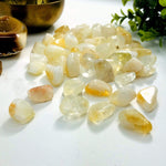 1lb Citrine Tumbled Gemstones - Medium Size (TS-13)