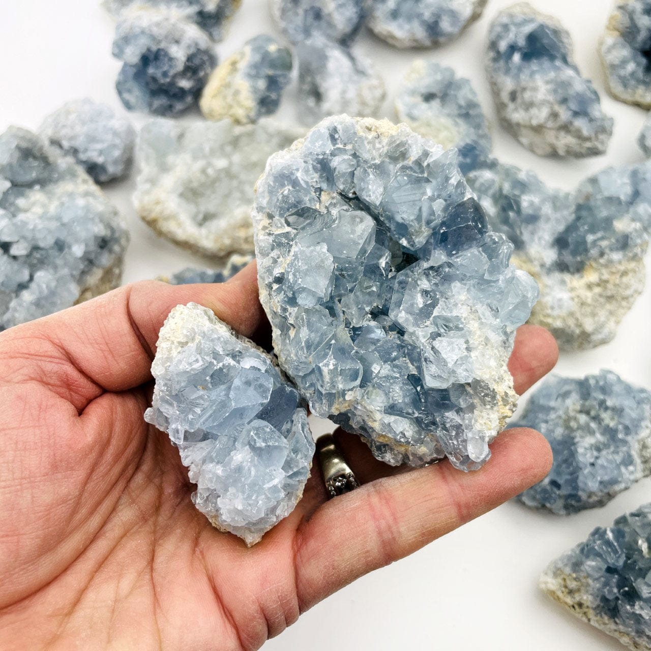 Raw Freeform Blue Celestite Crystals