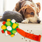 Dog Chew Toy