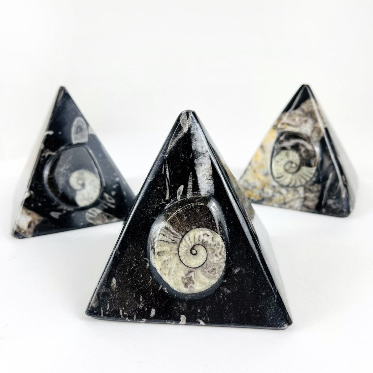 Ammonite and Orthoceras Fossil Pyramid