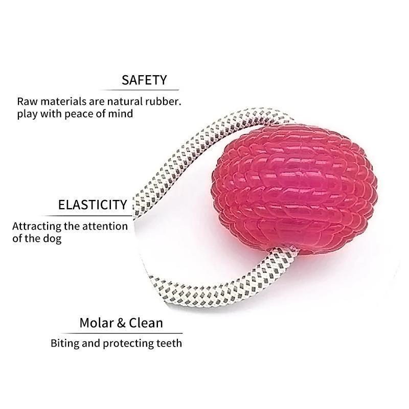 Multifunction Pet Molar Bite Toy