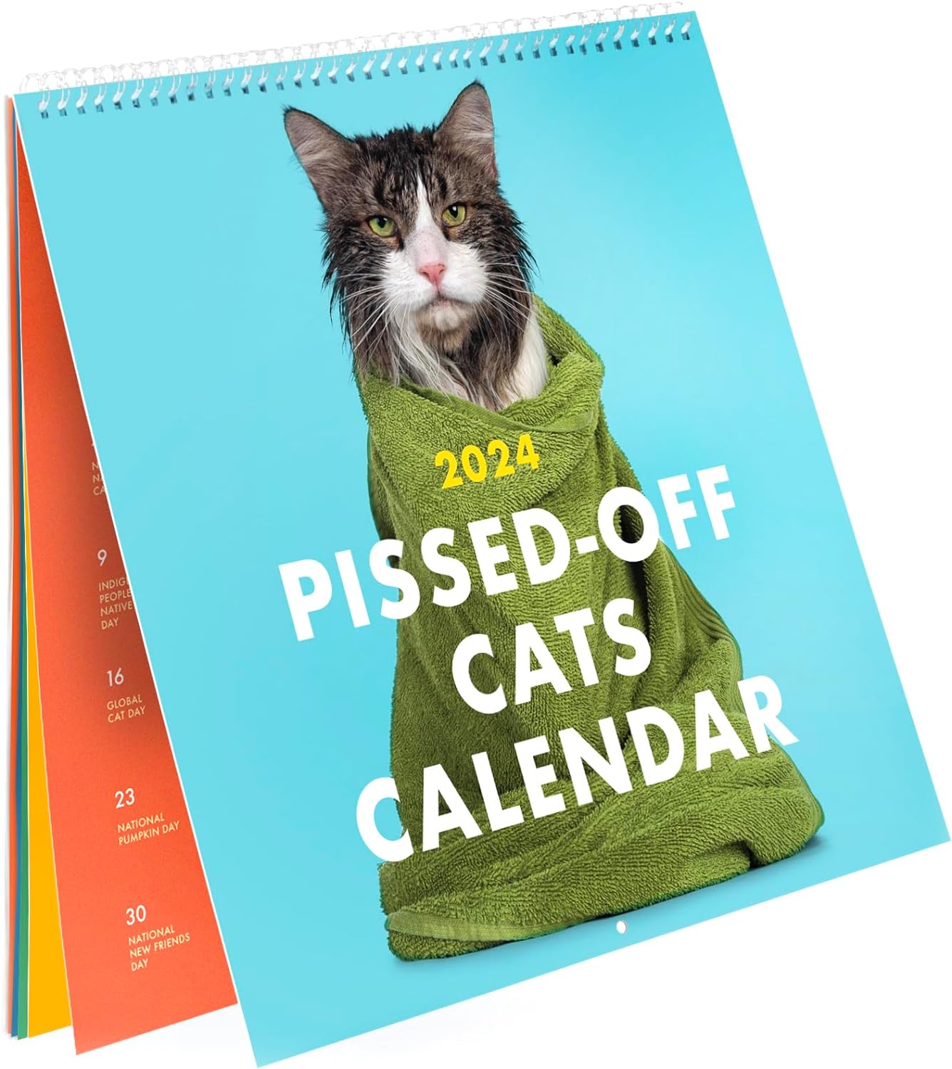 2025 Pissed-Off Cats Calendar