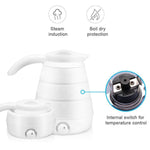 Portable Electric Kettle With Universal Plug