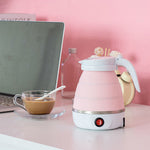 Portable Electric Kettle With Universal Plug