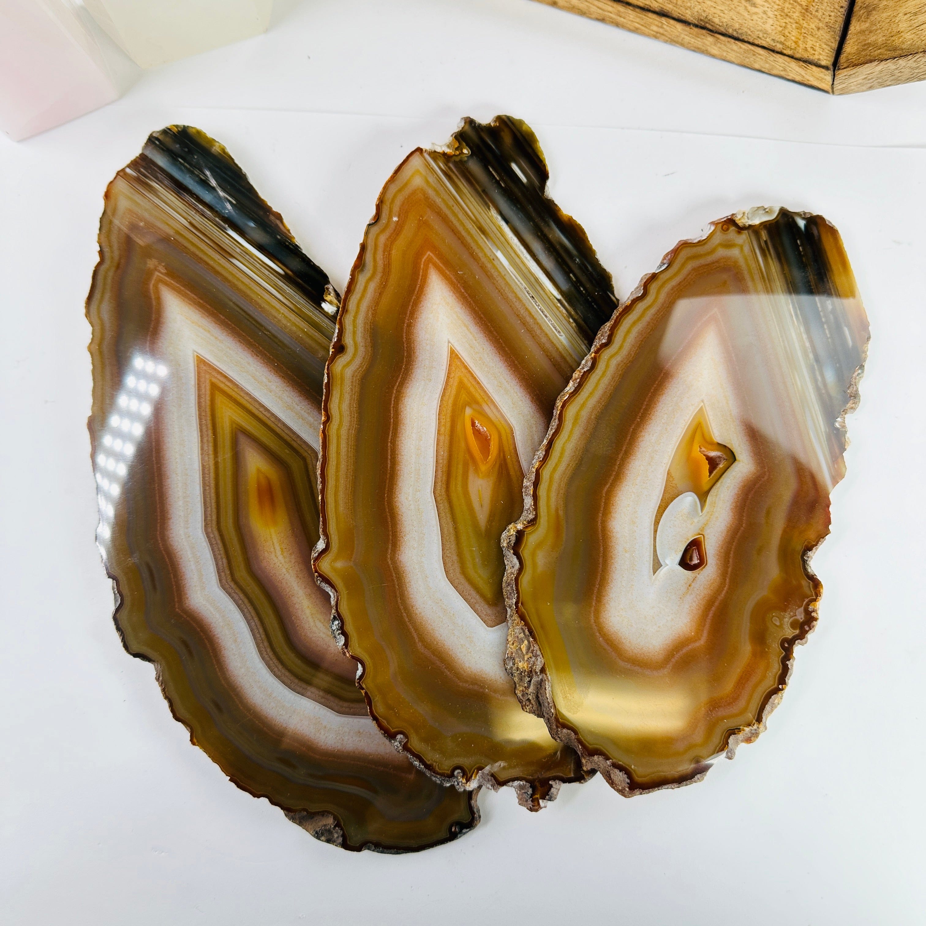 Agate Crystal Slices Set of 3 Slabs