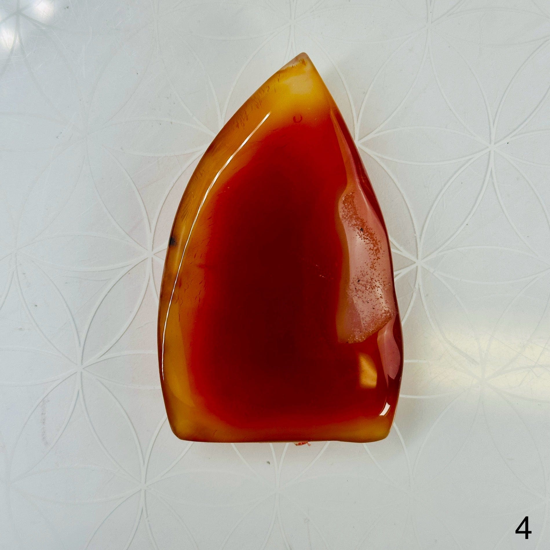 Carnelian Polished Freeform Cut Base - You Choose