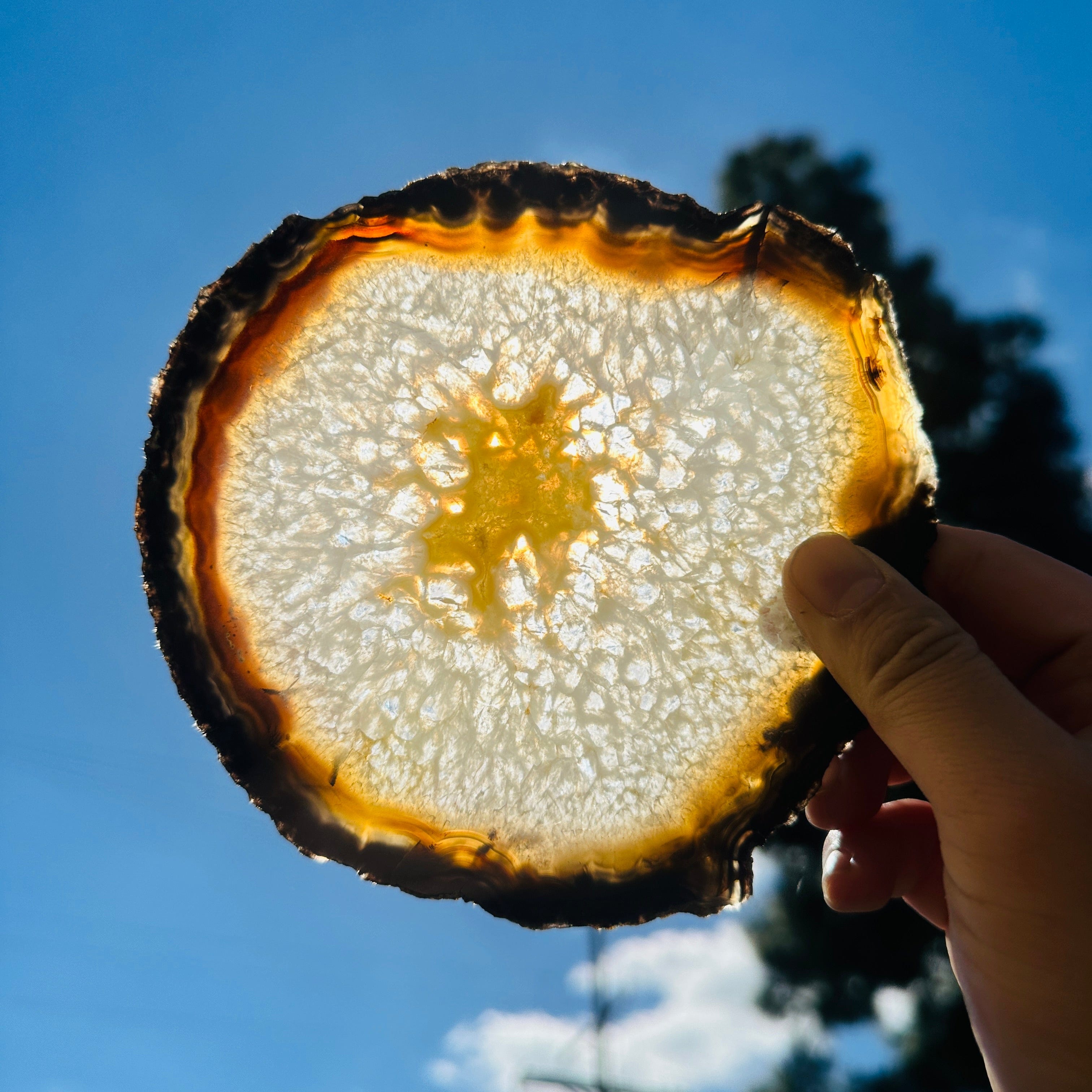 Agate Slice Set - Set of Five Agate Crystals Extra Quality Agates