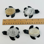 Black Onyx Sea Turtle with Light Onyx Shell