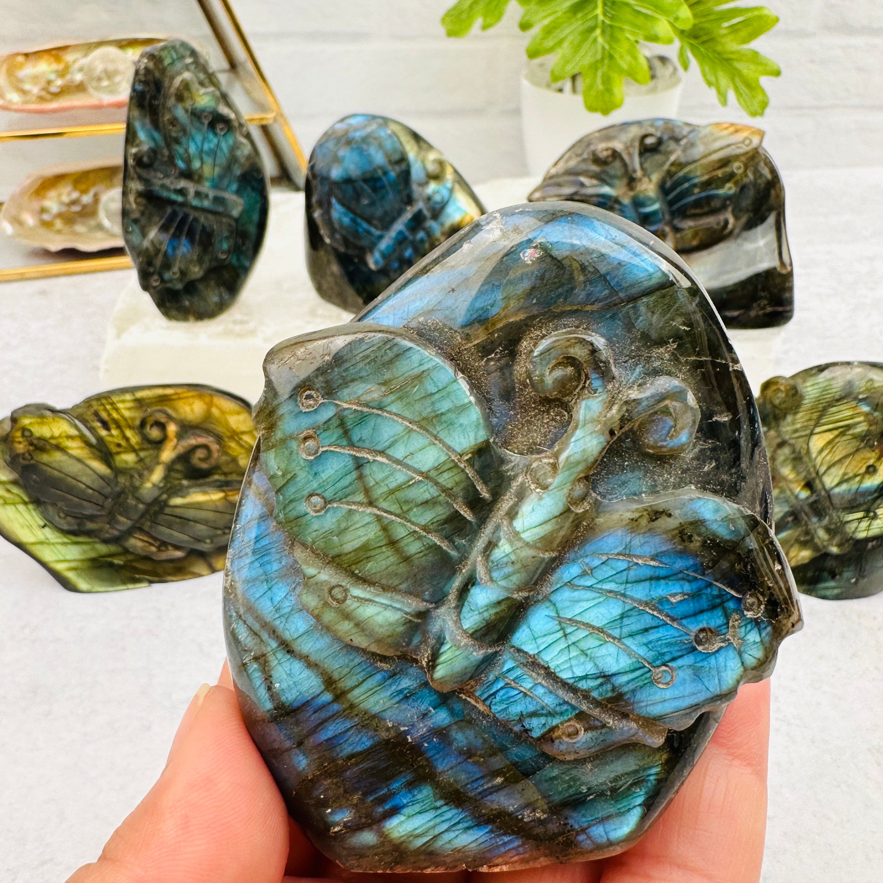 Carved Crystal Labradorite Butterfly Cut Base - You Choose -