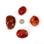 Carnelian Crystal Tumbled Stones - XLarge Size - Choose 1,3 5 Pieces