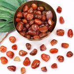 1 lb Bag Carnelian Small Tumbled Stones Choose 1,3,5 Bags (TS-10)