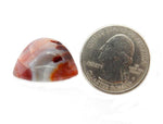 Agate Cabochon - High Quality Cabochon (RK36B18-05)