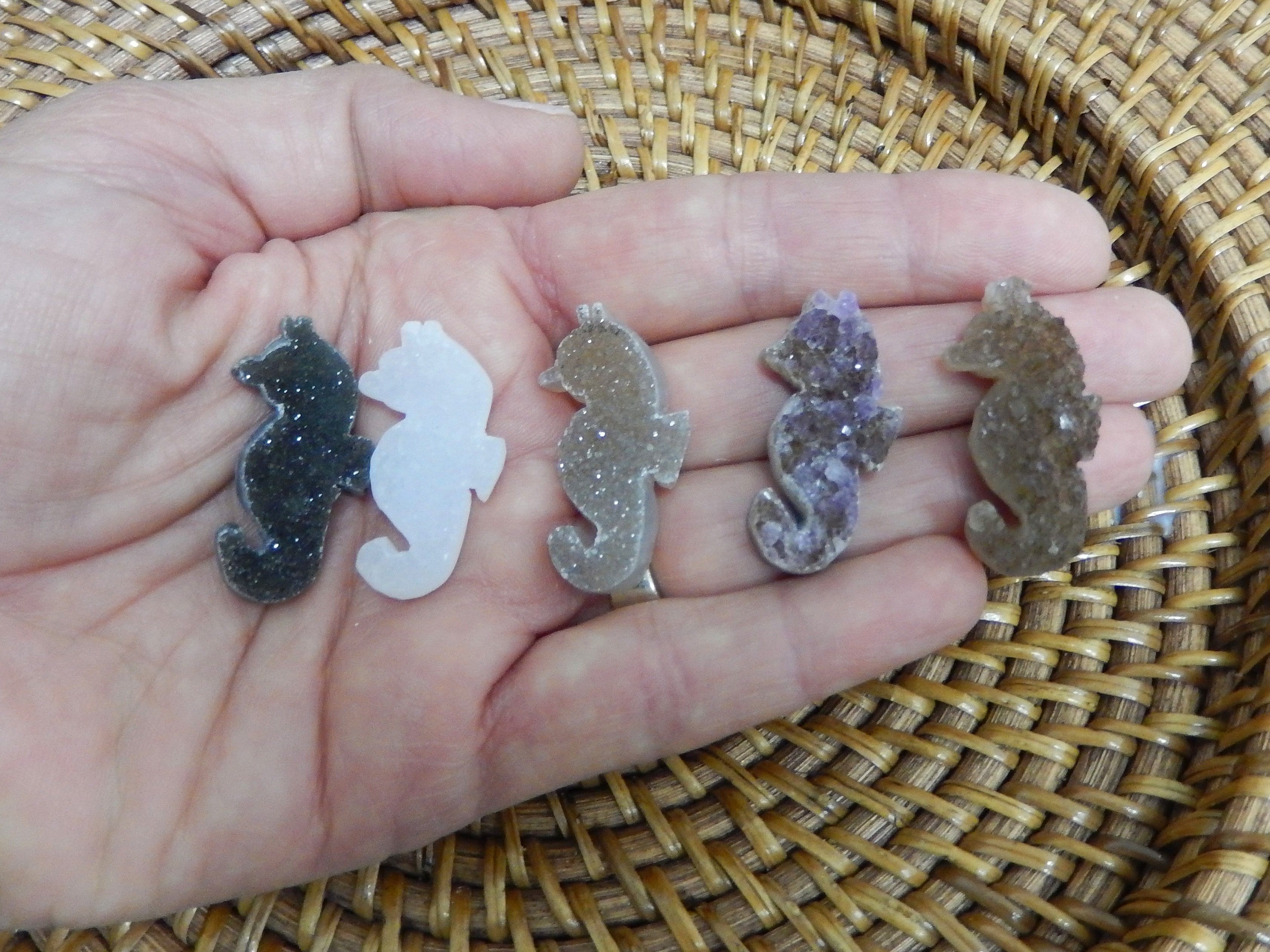 Druzy Seahorse Shaped Cabochon (RK36B5-09)