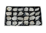 Crystal Quartz By Box - Box of 24 Pieces (BOX-47)