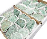 Fuschite Flat Box - Chakra - Metaphysical - Green Fuchsite Stones (BOX-30)