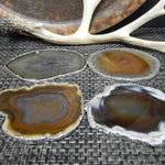 Agate Slice Set of 4- Freeform Coaster Size - Silver Electroplated Edges