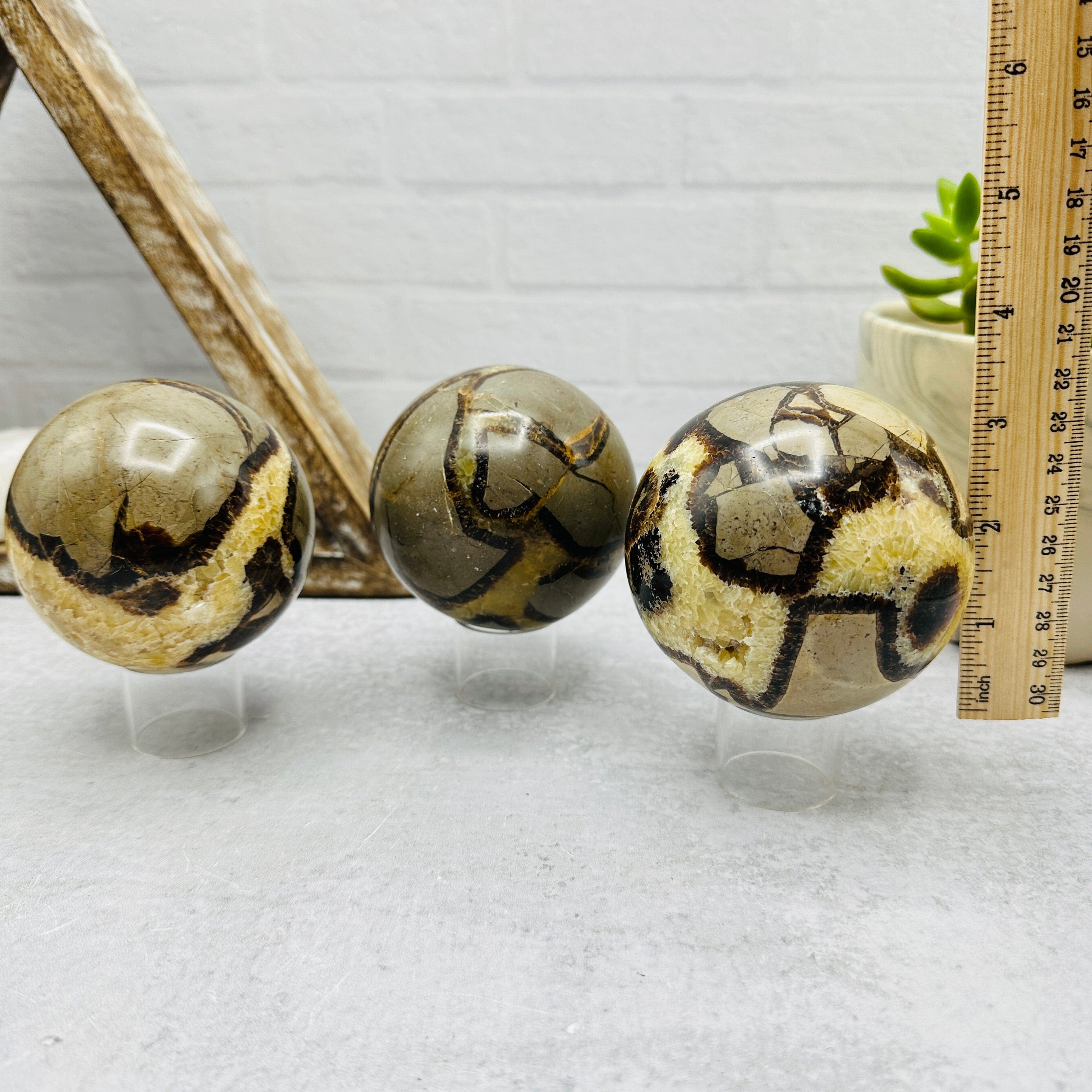 Septarian Sphere - You Choose