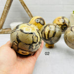 Polished Septarian Sphere - You Choose